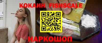 стаф Брянск
