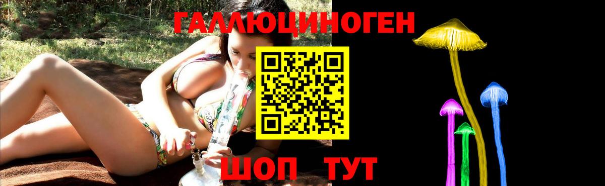 Богородск  Псилоцибиновые грибы MAGIC MUSHROOMS  Вход с VPN  Галлюциногенные грибы Psilocybe 